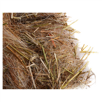 Nestmateriaal papegaaiachtigen, actieve formule 250 g
