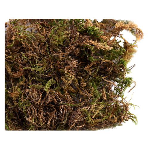 Nestmateriaal van mos 6 l
