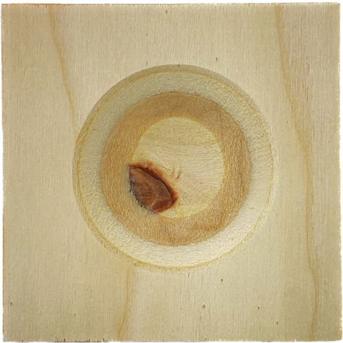 Broedblokbodem 15x15cm
