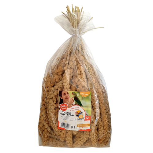 Trosgierst geel 1kg