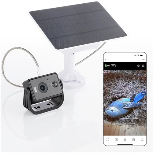 Vogelhuis Camera met Zonnepaneel – 2K WiFi Nestkastcamera