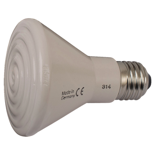Elsteinlamp 60 watt