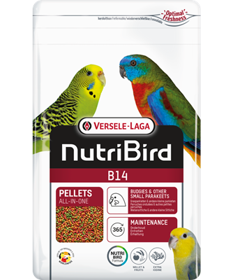 Versele Nutribird B14 Parkiet Onderhoudsvoer 800g