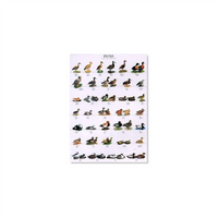 Poster Eenden 01 (68x98cm)