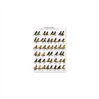 Poster Gouldamandines (68x98cm)