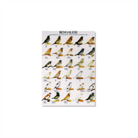 Poster Japanse Meeuwtjes (49x68cm)
