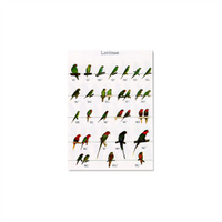 Poster Lori's 03 (68x98cm)