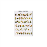 Poster Zebravinken (68x98cm)